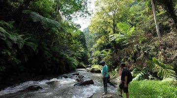 Gambar 4 Tanah Murah Bagus Buahan Kaja Payanagan Ubud Gianyar Bali