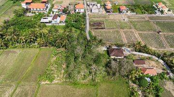 Gambar 2 Tanah View Sawah Singakerta Tebongkang Ubud Gianyar Bali