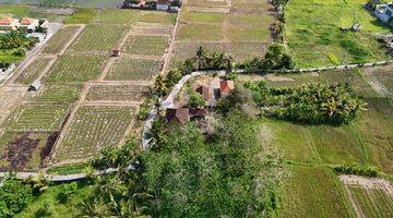 Gambar 3 Tanah View Sawah Singakerta Tebongkang Ubud Gianyar Bali