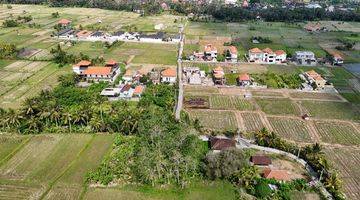 Gambar 1 Tanah View Sawah Singakerta Tebongkang Ubud Gianyar Bali