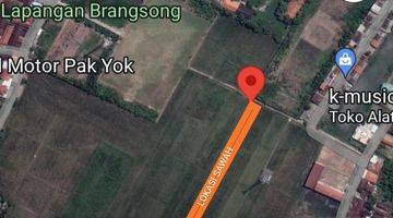 Gambar 5 DIJUAL TANAH SAWAH,ISTIMEWA PINGGIR JALAN,100 METER DARI JALAN RAYA BESAR 