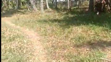 foto lainnya jual tanah murah shm, jauh