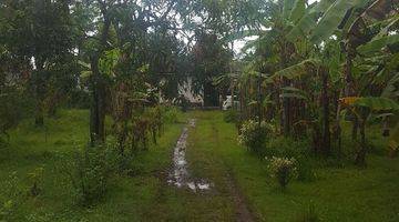 Gambar 4 Dijual Tanah SHM 3.036 m² Mainroad Jl Raya Purworejo Kutoarjo Jl. Gajah Mada Kabupaten Purworejo