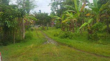 Gambar 1 Dijual Tanah SHM 3.036 m² Mainroad Jl Raya Purworejo Kutoarjo Jl. Gajah Mada Kabupaten Purworejo