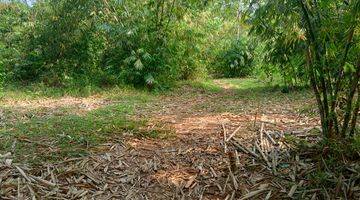 Gambar 4  tanah/ kebun untuk berkebun durian alpokat dll