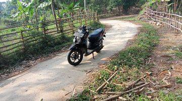 Gambar 1  tanah/ kebun untuk berkebun durian alpokat dll