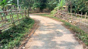 Gambar 3  tanah/ kebun untuk berkebun durian alpokat dll