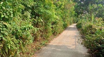 Gambar 5  tanah/ kebun untuk berkebun durian alpokat dll