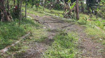 Gambar 5 tanah, kebun durian strtegis