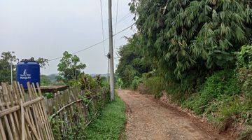 Gambar 2 tanah/ kebun , untuk ternak, dan juga berkebun