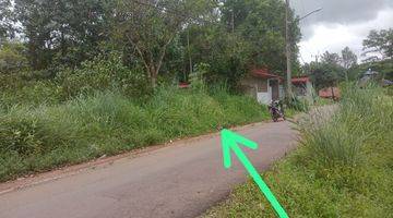 Gambar 2 Tanah/ Kebun Strategis