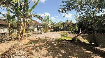 Gambar 3 Dijual Sewa Jalan Depan 4 Are Tanah Di Bali Buduk Dekat Pererenan Rf4667c