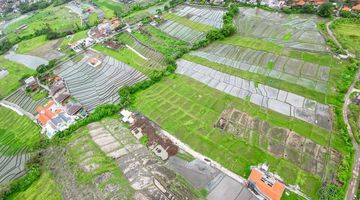 Gambar 2 Dijual Hak Milik Tanah Di Bali Dekat Pantai Seseh Az016b