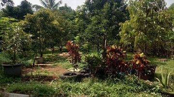 Gambar 3 Lahan kebun pagar keliling 