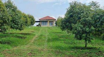 Gambar 1 Dijual Cepat Kebun Durian Free Villa Asri Mungil