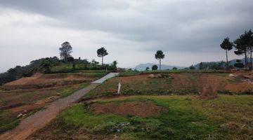 Gambar 4 Tanah Kavling Villa Resort Siap Bangun di Puncak Dua Bogor