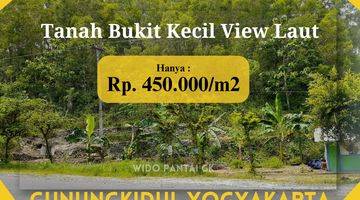 Gambar 1 Dijual Tanah Pantai Bukit Pinggir Jalan Raya Pantai Yogyakarta