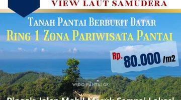 Gambar 1 Jual Tanah Pantai Dekat Jjls Zona Ring 1 Pantai Gunungkidul Yogyakarta