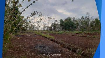 Gambar 4 Dijual Tanah Murah Khusus Pengembang Gunungkidul Yogyakarta