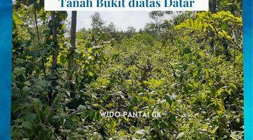 Gambar 4 Di Jual Tanah Pantai Bukit, Datar, Tebing Gunungkidul Yogyakarta