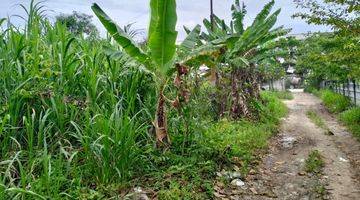 Gambar 3 Tanah Dijual Daerah Riau Ujung Dekat Tugu Menabung Bi