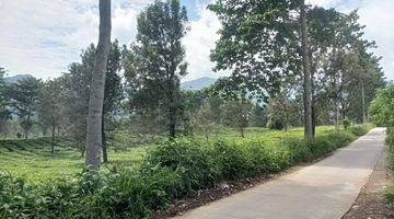 Gambar 3 Tanah Dijual di Tugu Selatan Puncak Luas 1.2 Ha View Gunung