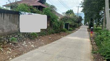 Gambar 5 Tanah Dijual di Tugu Selatan Puncak Luas 1.2 Ha View Gunung