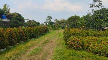 Gambar 3 DIJUAL LOKASI SANGAT BAGUS PINGGIR JALAN UTAMA!! Di Gunung Sindur Curug