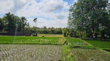 Gambar 1 Tanah di Area Pantai Kedungu Tabanan itr kuning