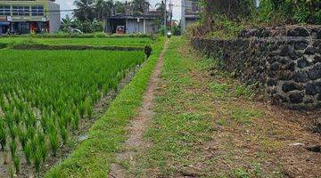 Gambar 2 Tanah di Area Pantai Kedungu Tabanan itr kuning