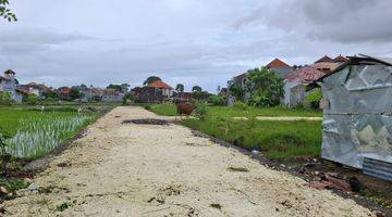 Gambar 3 Tanah Luas Kecil 1,25 Are JL Tukad Balian Renon