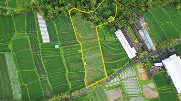 Gambar 1 Scenic Rice Field View Land In Penebel, Tabanan, Bali