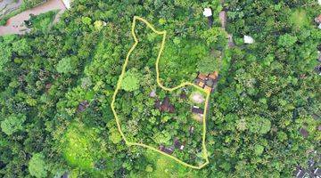 Gambar 1 Prime Land With River And Jungle Views In Bongkasa, Badung, Bali