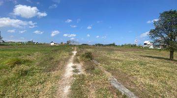 Gambar 4 Prime Freehold Land For Sale In Kerobokan, Jalan Bedugul