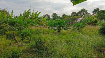 Gambar 2 Strategic Land for Lease in Kerobokan