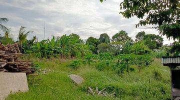 Gambar 5 Strategic Land for Lease in Kerobokan