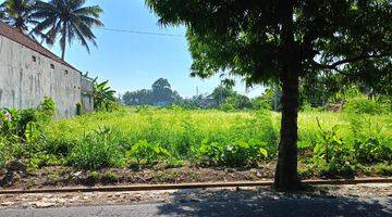 Gambar 1 TANAH SEWA CENTRAL UBUD VIEW SAWAH PINGGIR JALAN RAYA SAYAN