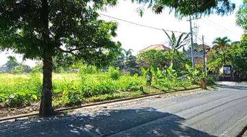 Gambar 2 TANAH SEWA CENTRAL UBUD VIEW SAWAH PINGGIR JALAN RAYA SAYAN