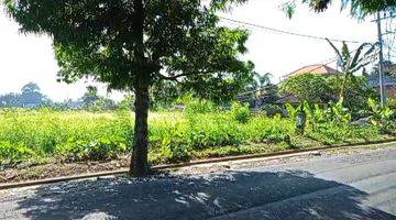 Gambar 3 TANAH SEWA CENTRAL UBUD VIEW SAWAH PINGGIR JALAN RAYA SAYAN