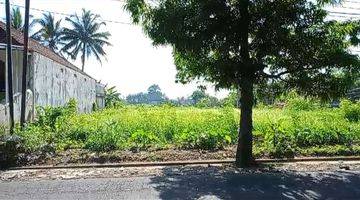 Gambar 4 TANAH SEWA CENTRAL UBUD VIEW SAWAH PINGGIR JALAN RAYA SAYAN