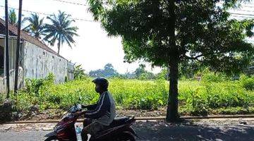 Gambar 5 TANAH SEWA CENTRAL UBUD VIEW SAWAH PINGGIR JALAN RAYA SAYAN