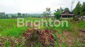 Gambar 1 TANAH BAGUS UNTUK GUDANG RANDUAGUNG SINGOSARI MALANG