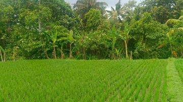 Gambar 3 TANAH VIEW SAWAH KABA2 TABANAN BALI