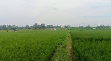 Gambar 1 TANAH VIEW SAWAH KABA2 TABANAN BALI