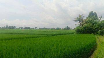 Gambar 5 TANAH VIEW SAWAH KABA2 TABANAN BALI