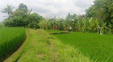 Gambar 4 TANAH VIEW SAWAH KABA2 TABANAN BALI