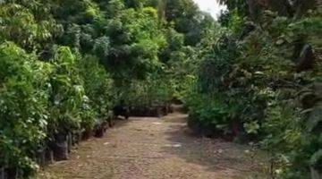 Gambar 1 Tanah Kavling Luas di Pegadungan Jakarta Barat Lokasi Strategis