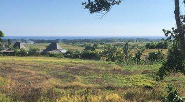 Gambar 1 Tanah di Desa Tangguntiti Tabanan Bali SHM View Sawah Dan Laut