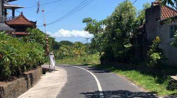 Gambar 3 Tanah di Desa Tangguntiti Tabanan Bali SHM View Sawah Dan Laut