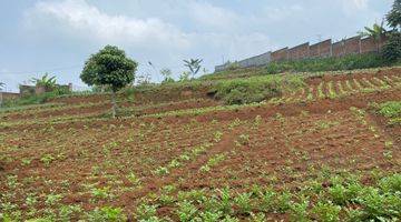 Gambar 4 Tanah Kebun Berbenteng Shm Di Padasuka Cimenyan Bandung Utara